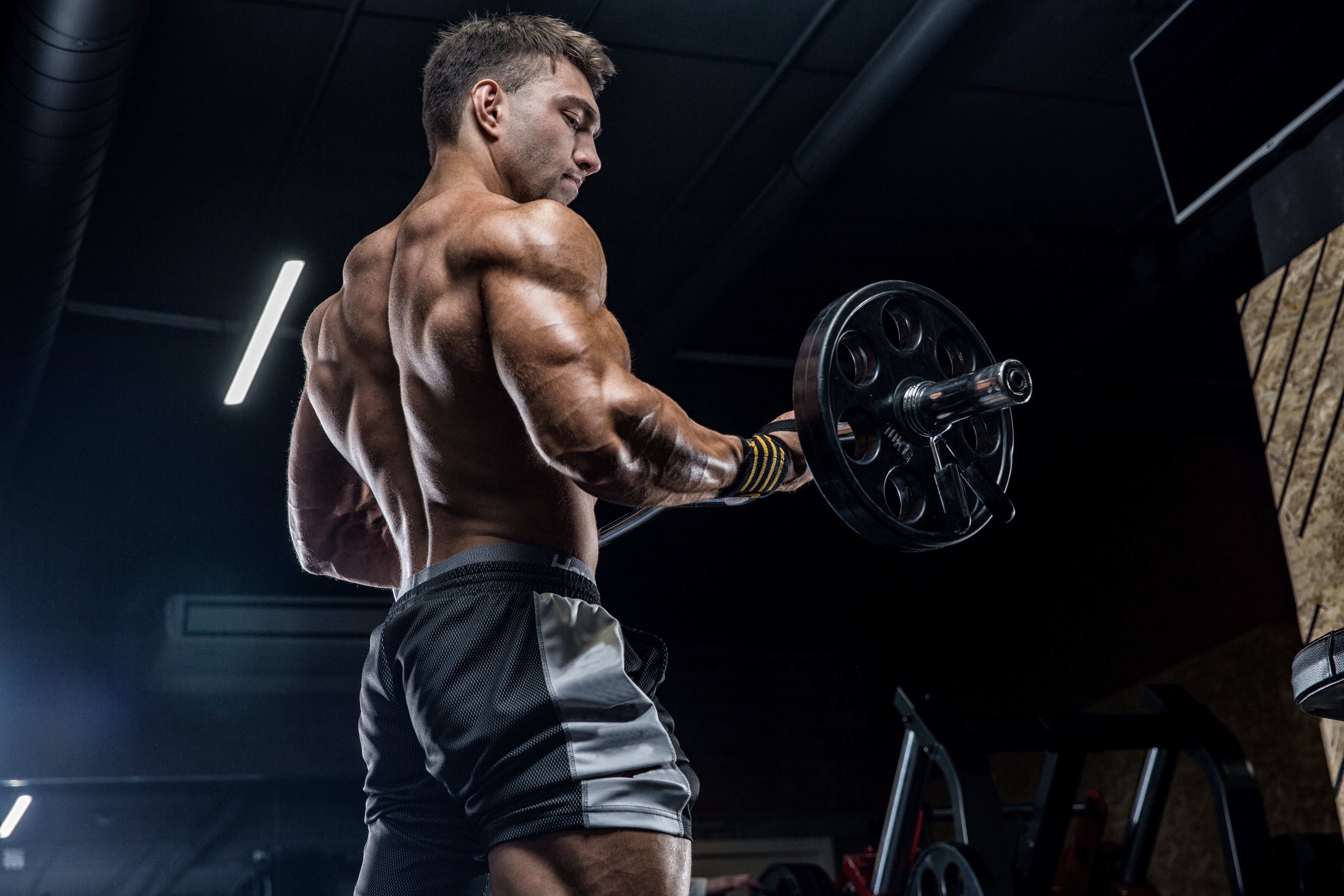 What It Means to Have an Apex Predator Mindset